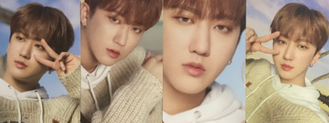 Photocards Stray Kids Dicon