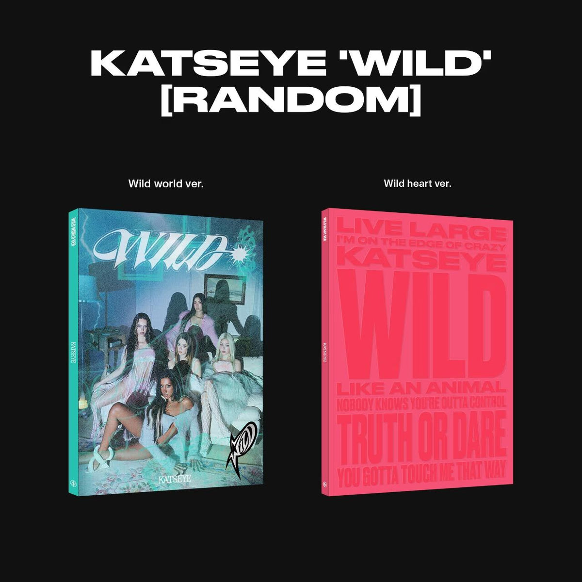 KATSEYE WILD STANDAR VER.