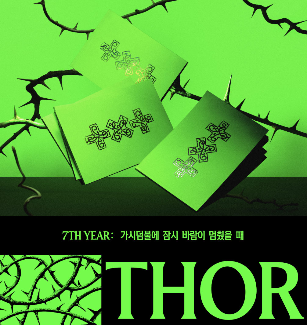 [PRE-ORDER] TXT - 7TH YEAR: 가시덤불에 잠시 바람이 멈췄을 때 (THORN Ver.)