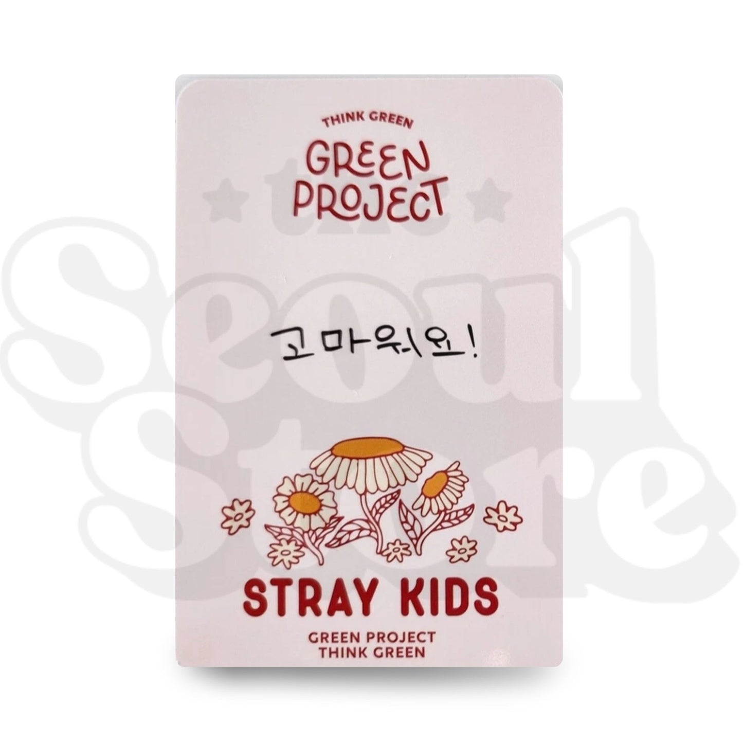 Stray Kids - Green Project x Stray Kids