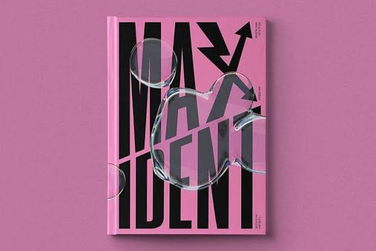STRAY KIDS- Maxident